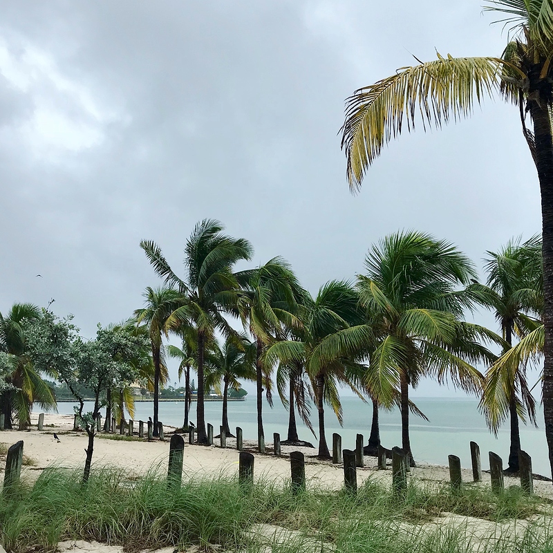 4C8664BE-6D8B-4F6F-8257-F20814293556