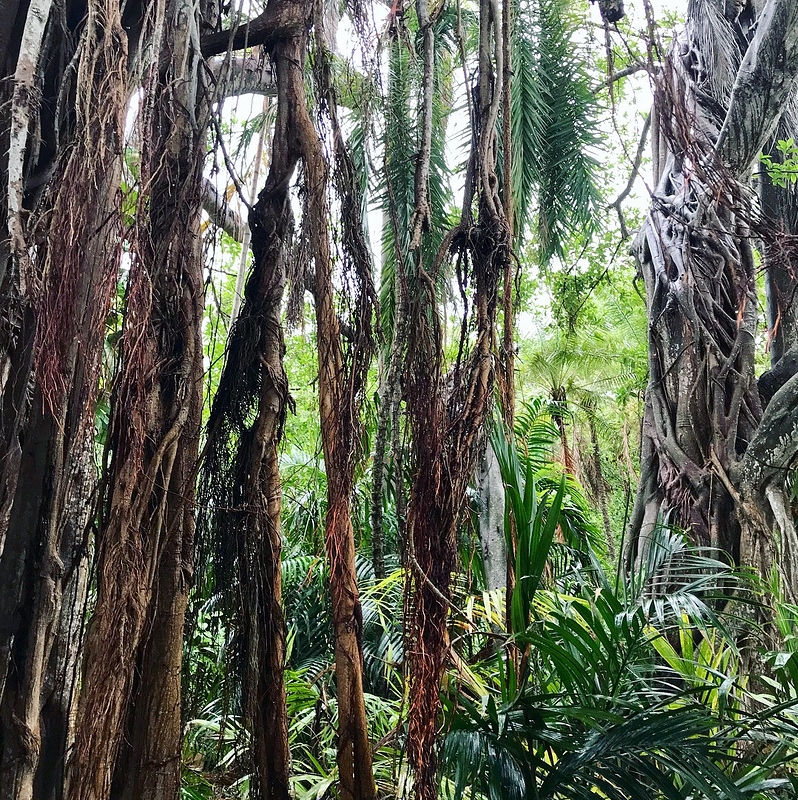 383D5AC7-8BAB-4270-A65D-54C020642C34