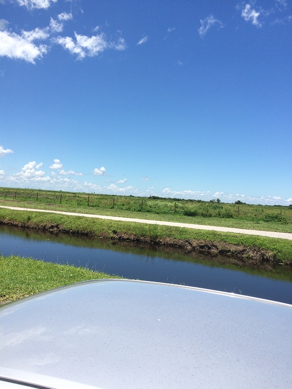 46F7FA7A-8E5F-4CC9-8200-240E14C7D535