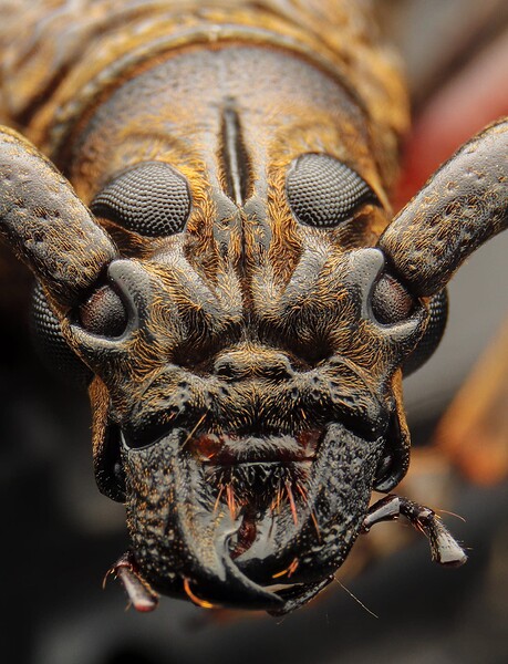 317256640_710681263744159_3291824544693026053_n