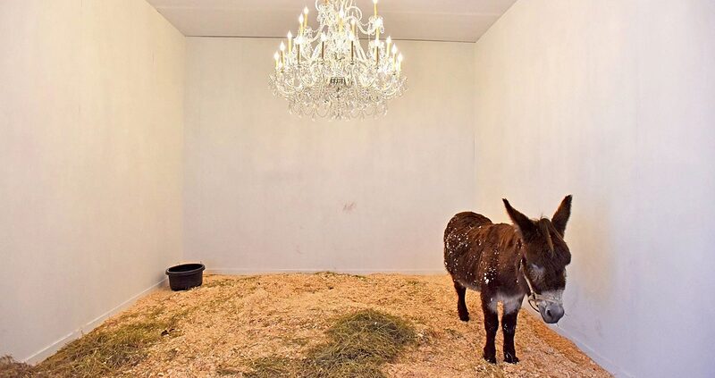 Photo-Philip-Greenberg-for-The-New-York-Times-1536x814