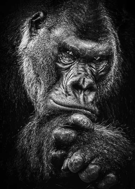 277984857_106084592069279_6660670296496936732_n