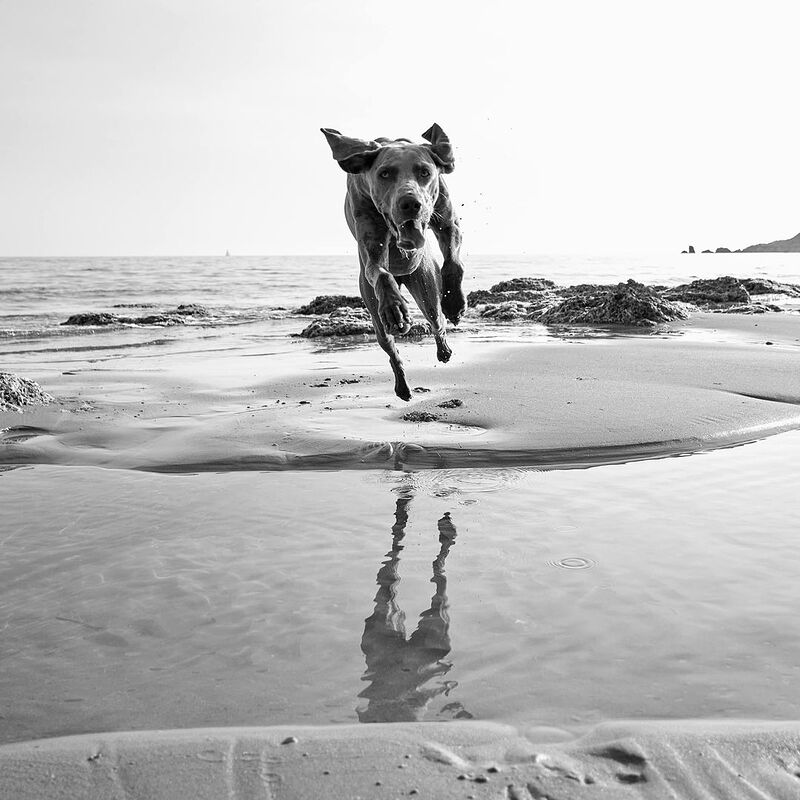 280722479_1358308584669773_5137976169534329_n