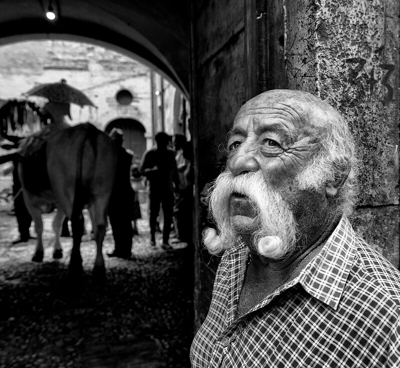 286674417_1772582343073032_1027573295128576579_n