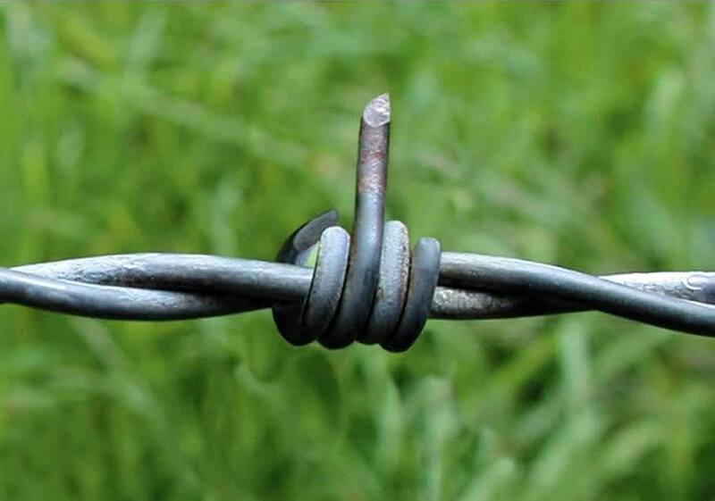 274485906_1628131367567579_1430293854203231363_n