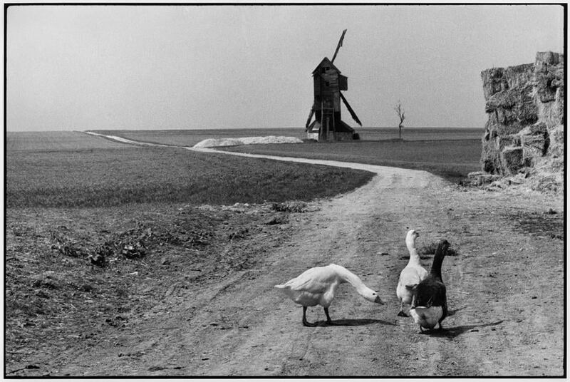 274982509_10216480614128174_909251731184497328_n