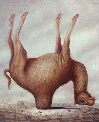 BrunoPontiroli_01-837x1024