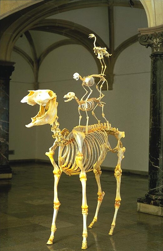 9beece201c1db21d0182b54ed8bf2299