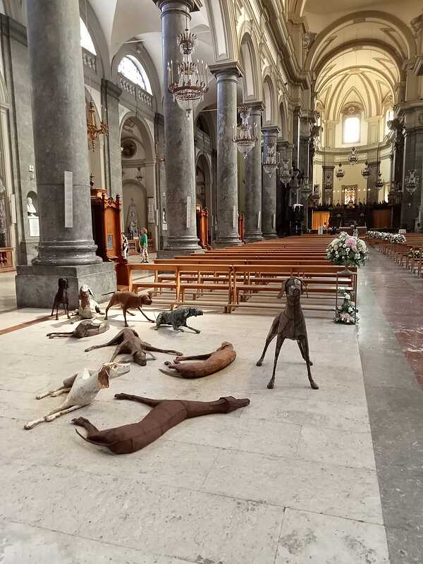 288727108_2075161325977672_2120016594046307931_n