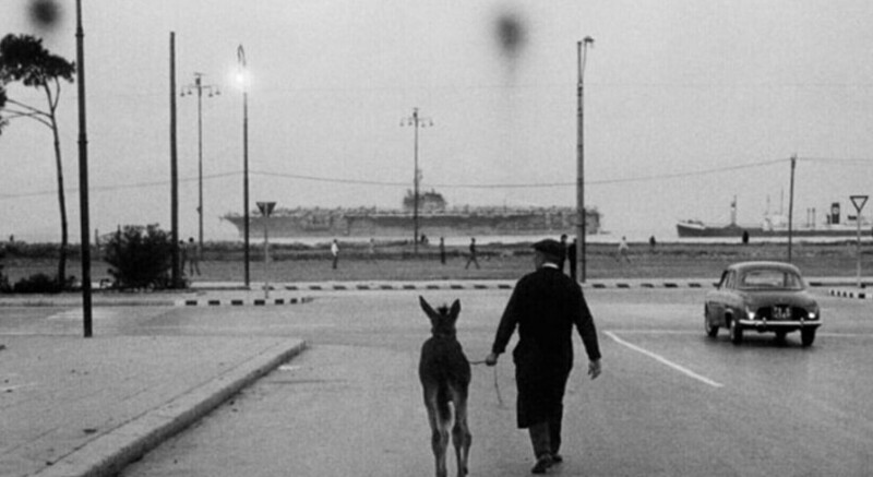 182049364-77996bb7-7521-482a-80fc-731b5c128045