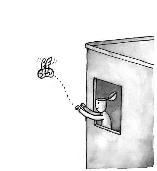 Copia (2) de Caratula