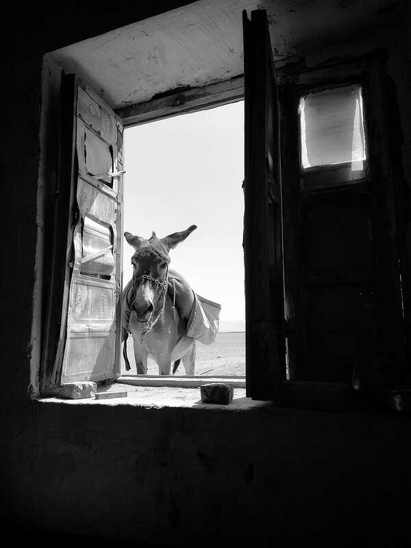 345192727_1176321719726731_3973939685649932567_n