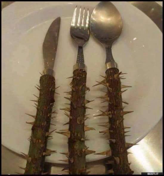 Per Miqte ne Korce 12741912_1523702301264533_6019362629937013021_n