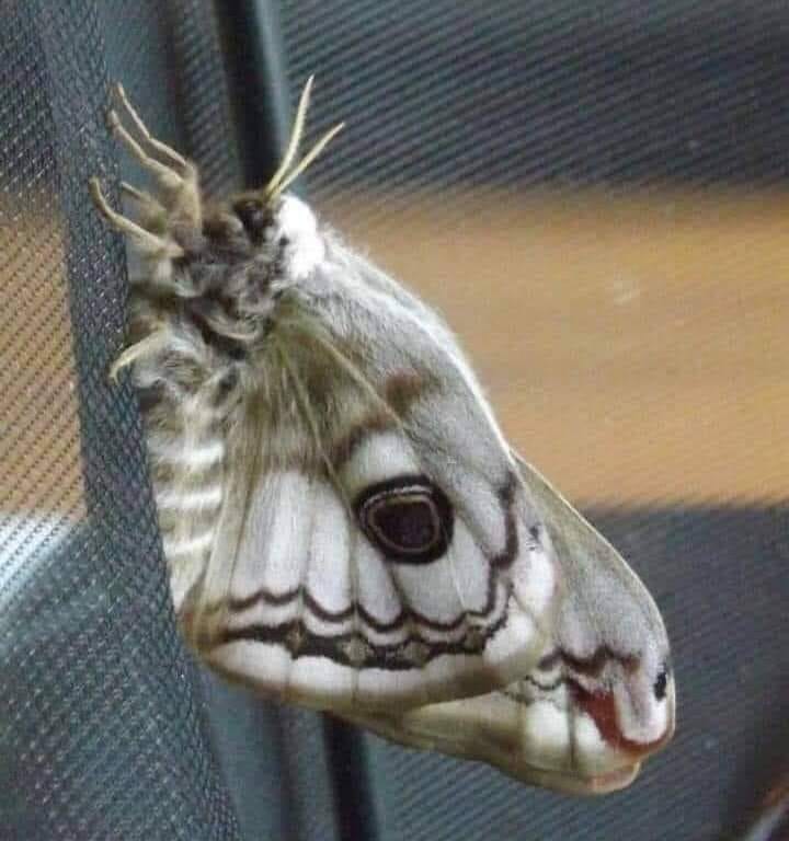 297972147_562904215624625_739129894645229337_n