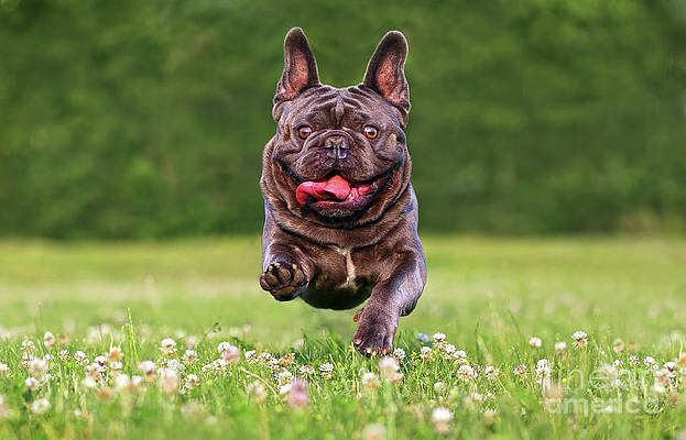 happy-face-alexander-sviridov