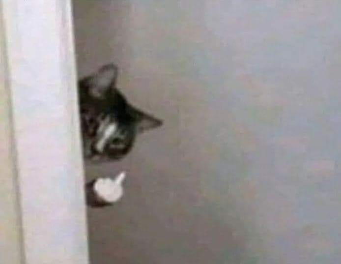 180132982_10223014893952800_5527814011423271836_n