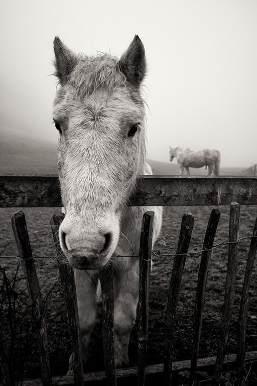 283631825_5330660656991037_3900007045502671508_n