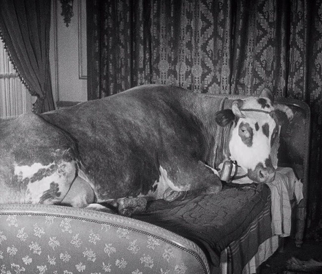 dd67135a16f7d9066736f9de56308cf0edf6295a