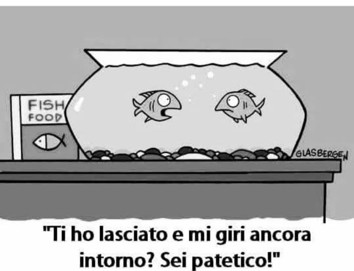 483525932_1153183423268466_3204499966874751888_n