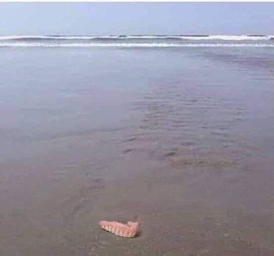 e002ad33-1273-4da0-a92c-7668ddc75720