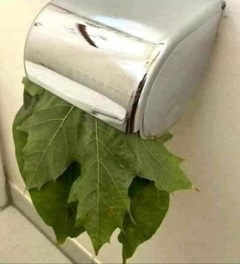 475800040_10228335299469576_8599468312866335934_n