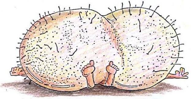 12661845_10205111925668905_123214575687765214_n