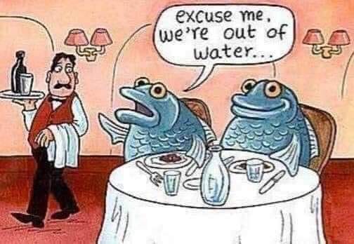 125202011_1227692487610213_1024702680896631433_n